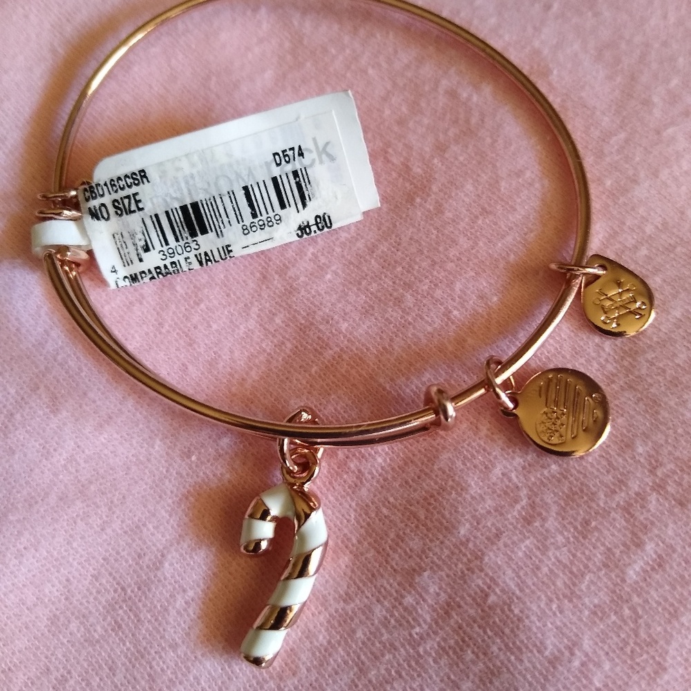 Alex and Ani Live a Happy Life Charm Bangle Bracel